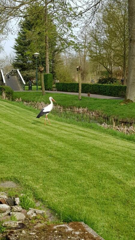 Farmhouse Lodge Giethoorn Dış mekan fotoğraf
